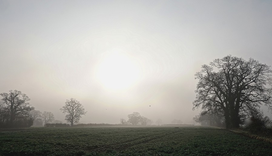 photo of misty morning sky